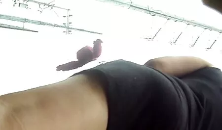 Hoàn toàn bôi trơn, cho con gà sex game show nhat trống