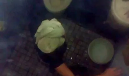 Những Jasmine, kiểu xxx nhật ban chó,